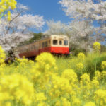 Full-Bloom Railwayの画像