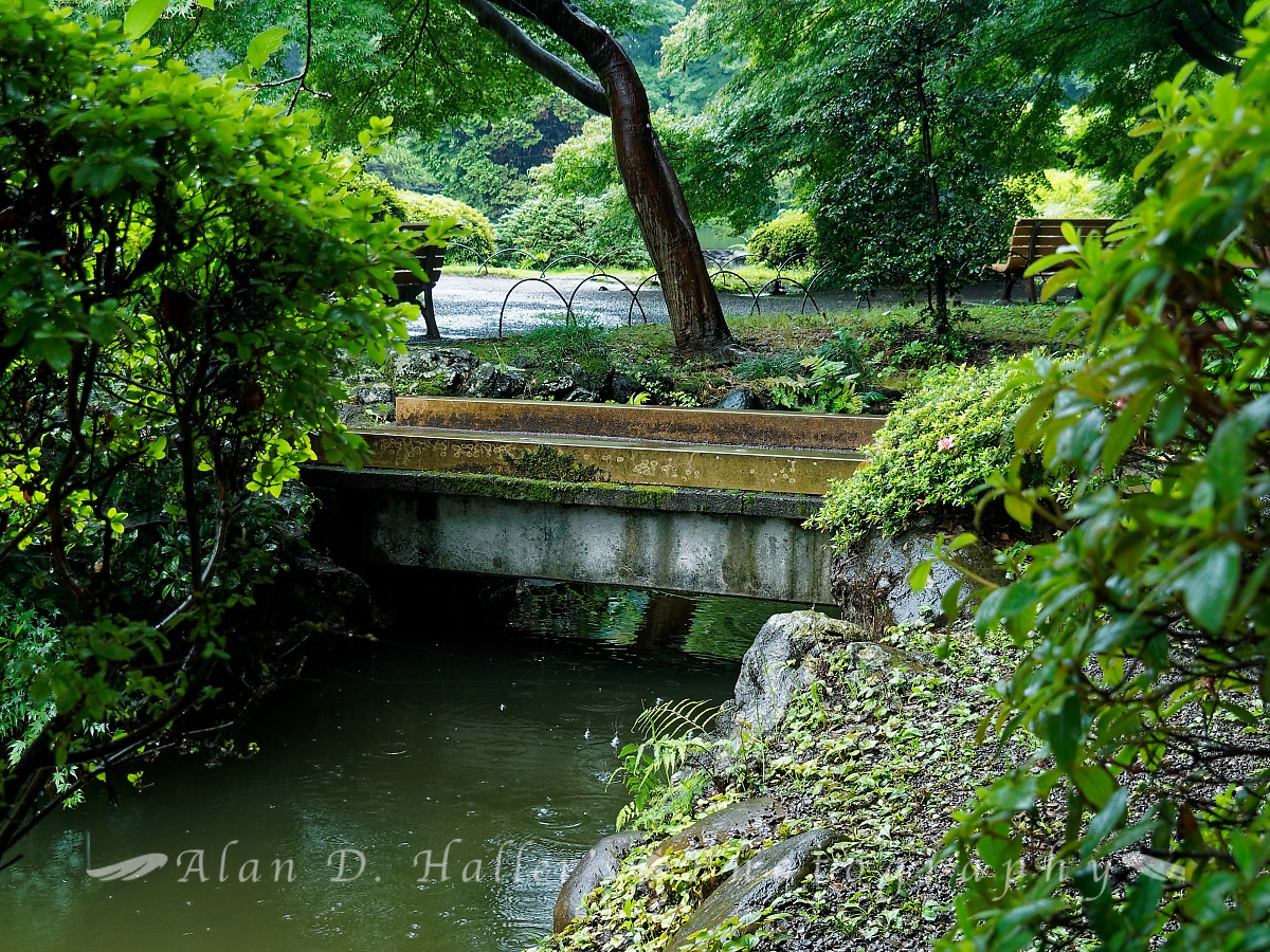 新宿御苑・日本庭園の石橋