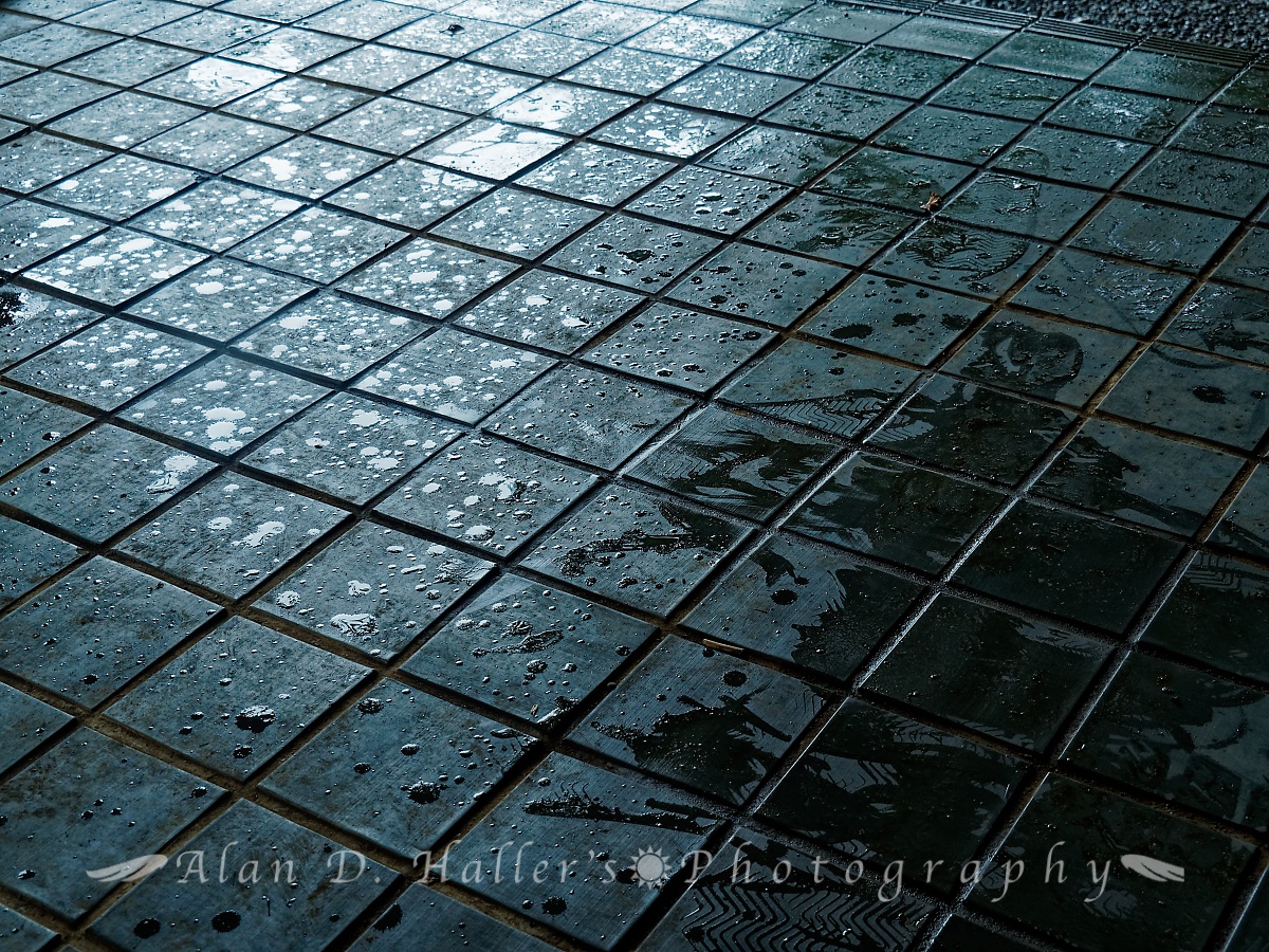 新宿御苑・日本庭園の東屋の濡れた床