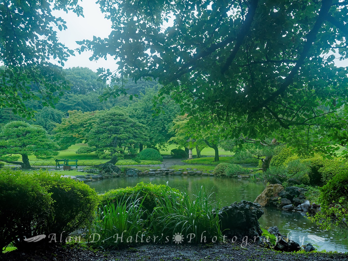 新宿御苑・日本庭園の東屋からの眺望