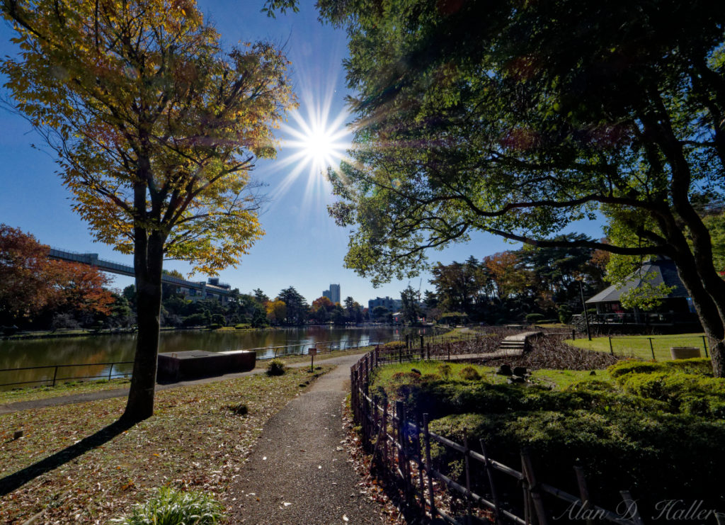 千葉公園 秋の風景