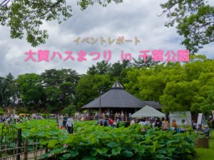 千葉公園 蓮華亭 大賀ハスまつり 蓮