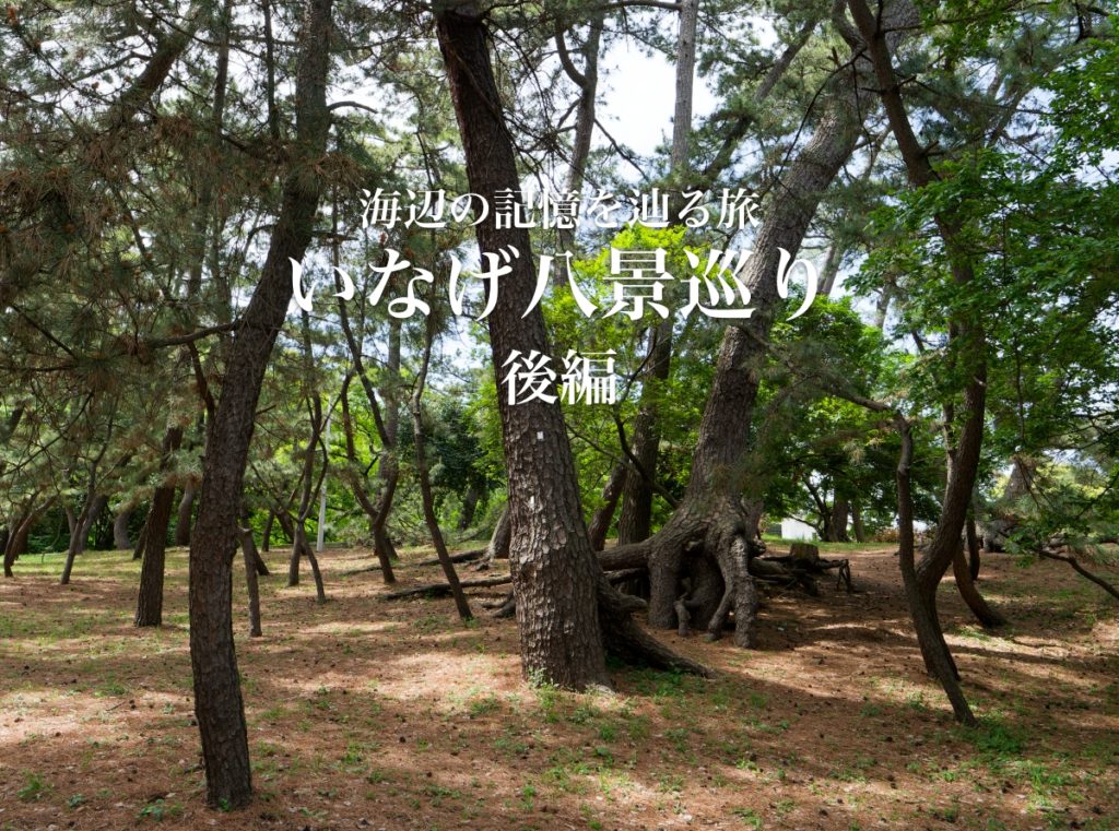 稲毛 いなげ八景 稲毛公園 松林