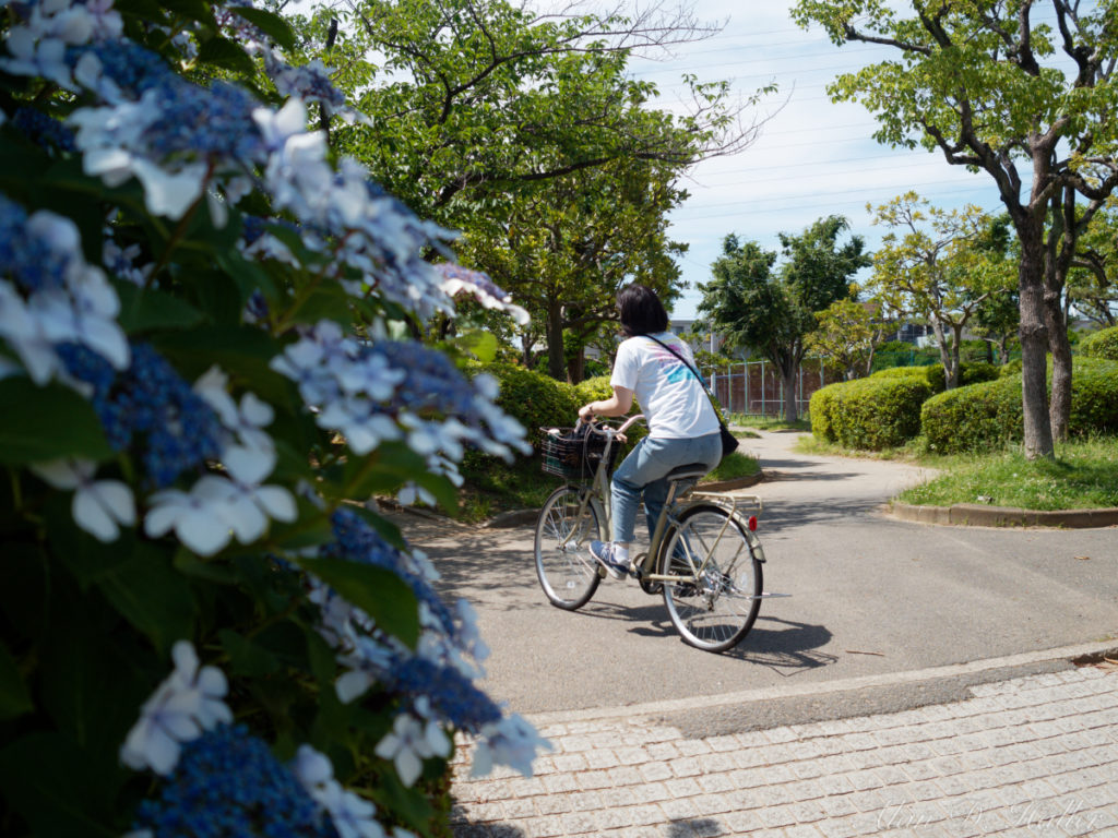 OLYMPUS M.ZUIKO DIGITAL 17mm F1.8 作例