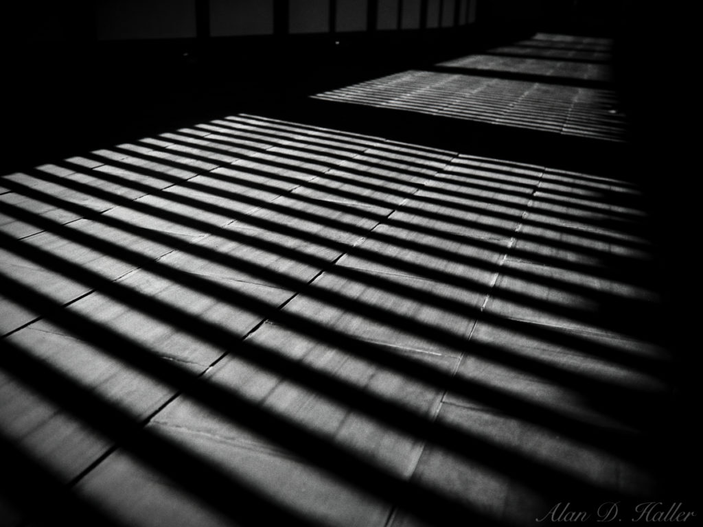 OLYMPUS M.ZUIKO DIGITAL 17mm F1.8 作例