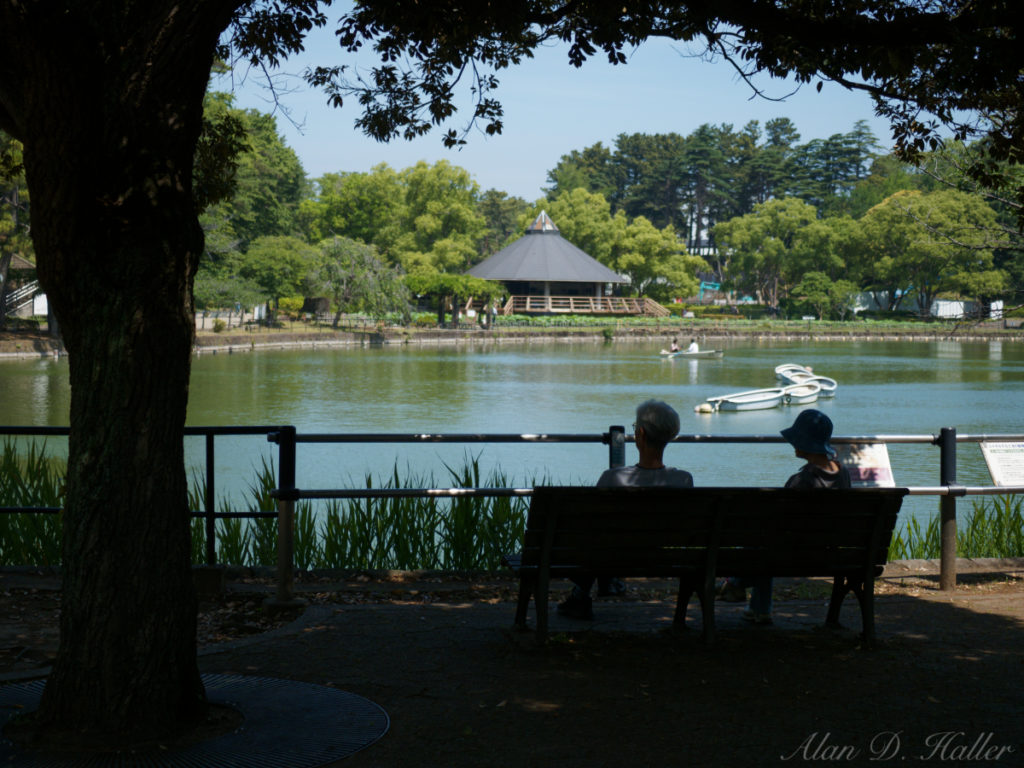 OLYMPUS M.ZUIKO DIGITAL ED 30mm F3.5 Macro 作例