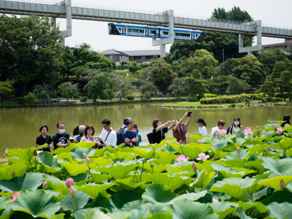 OLYMPUS M.ZUIKO DIGITAL ED 30mm F3.5 Macro 作例