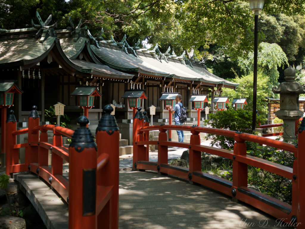 OLYMPUS M.ZUIKO DIGITAL ED 30mm F3.5 Macro 作例