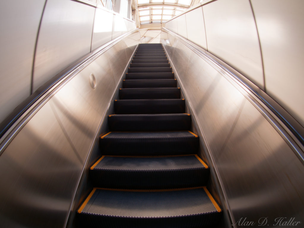 OM SYSTEM オリンパス BCL-0980 Fisheye 作例