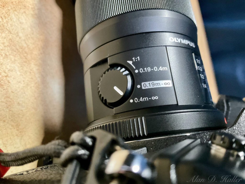 OM SYSTEM オリンパス 交換レンズ 中望遠マクロレンズ M.ZUIKO DIGITAL ED 60mm F2.8 Macro