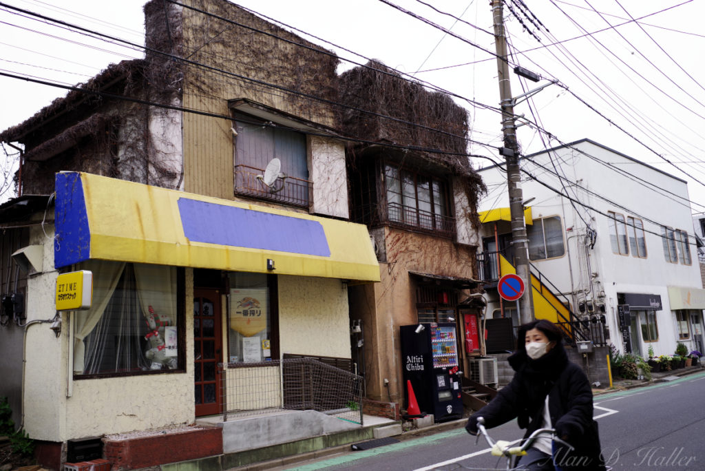 PENTAX K-1 Mark II 作例 千葉市 中央区