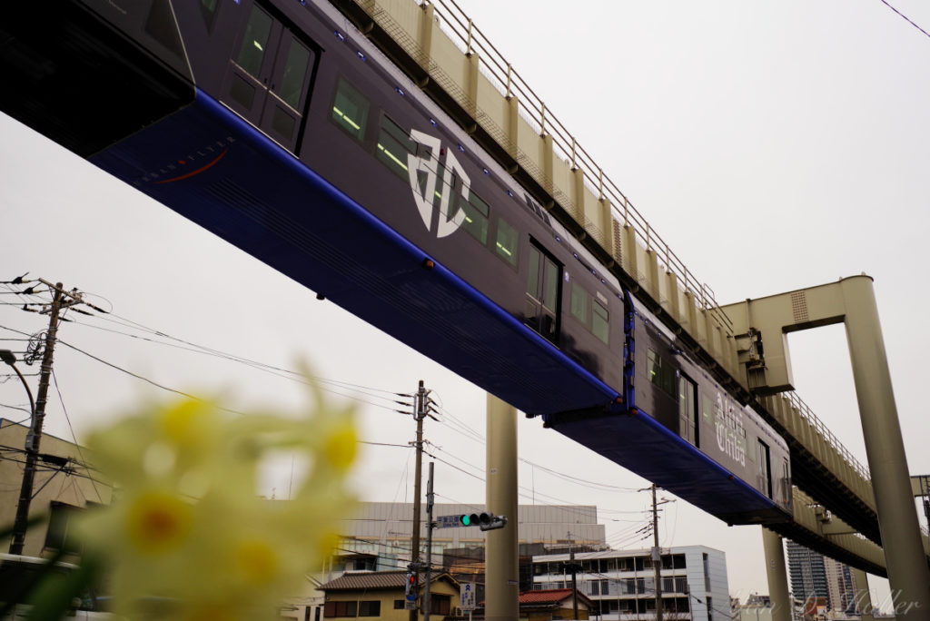 PENTAX K-1 Mark II 作例 千葉公園