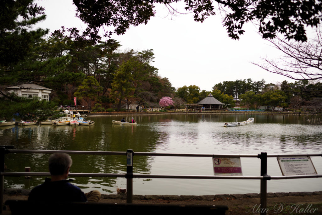 PENTAX K-1 Mark II 作例 千葉公園