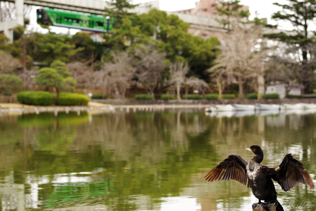 PENTAX K-1 Mark II 作例 千葉公園