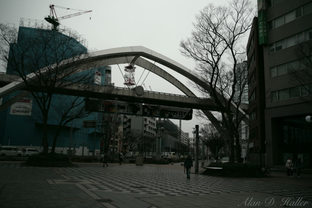 PENTAX K-1 Mark II 作例 千葉市中央公園