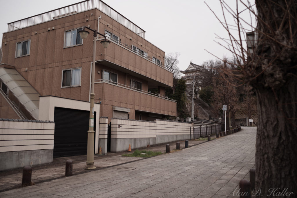 PENTAX K-1 Mark II 作例 千葉市 中央区