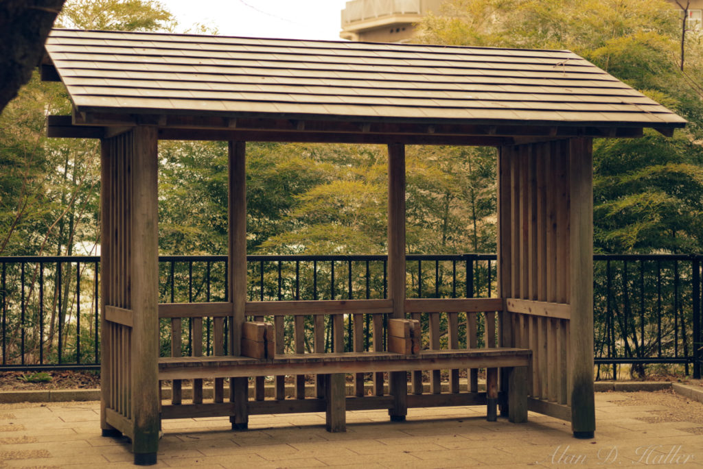 PENTAX K-1 Mark II 作例 亥鼻公園