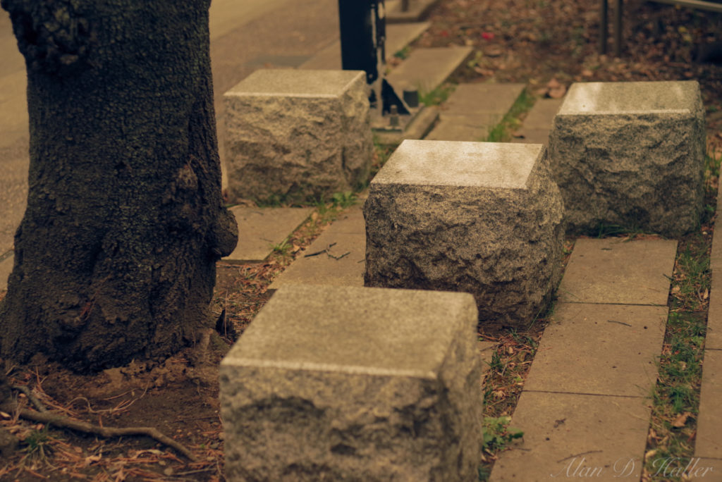 PENTAX K-1 Mark II 作例 亥鼻公園